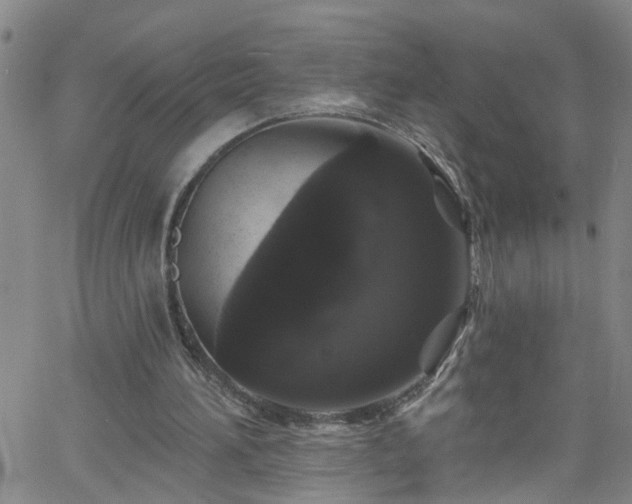 X0000058830196200510031355