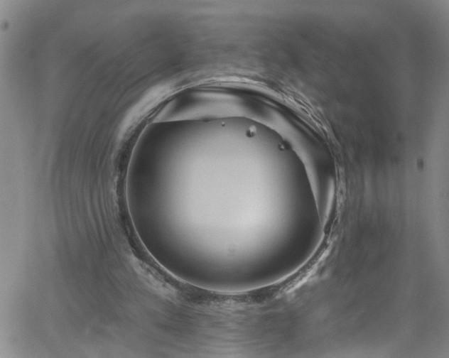 X0000058830197200510031355