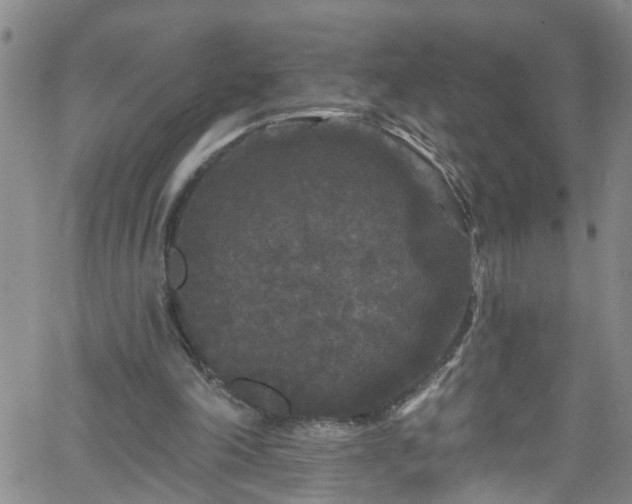 X0000058830198200510031355