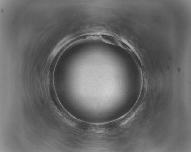 X0000058830199200510031355