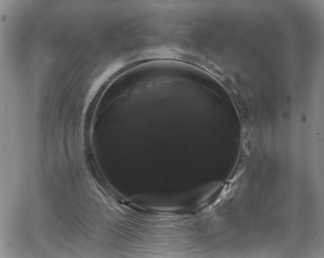 X0000058830200200510031355