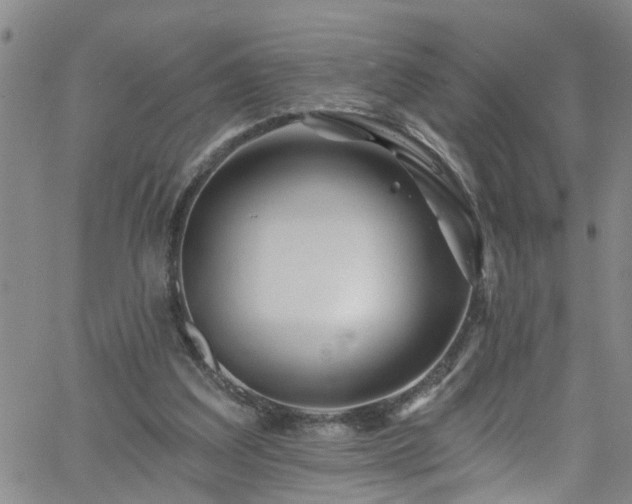 X0000058830203200510031355