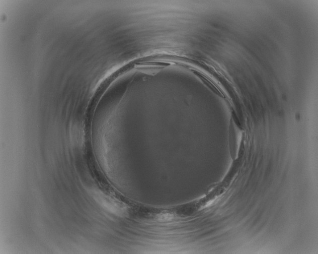 X0000058830204200510031355