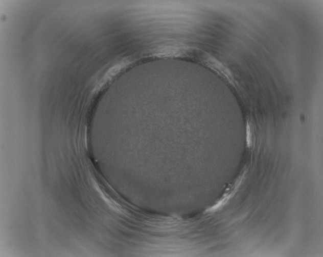 X0000058830205200510031355