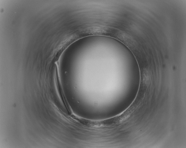 X0000058830206200510031355