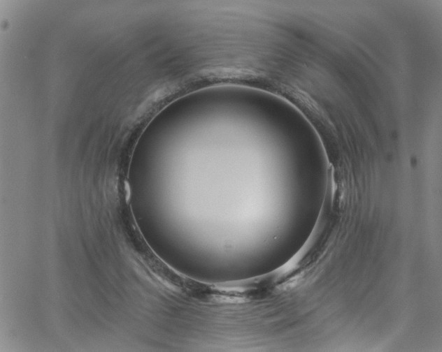 X0000058830207200510031355