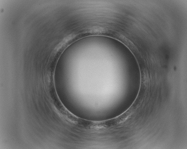 X0000058830208200510031355