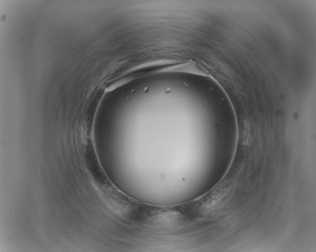 X0000058830210200510031355