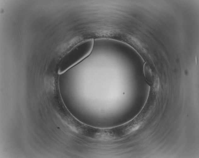 X0000058830211200510031355