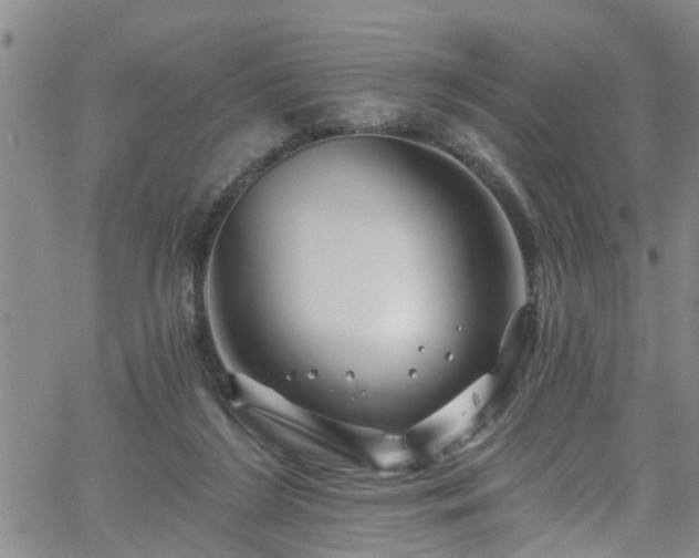 X0000058830212200510031355