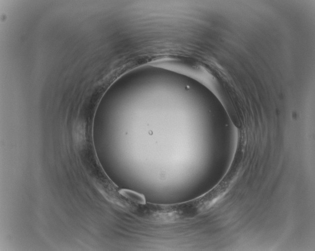 X0000058830213200510031355