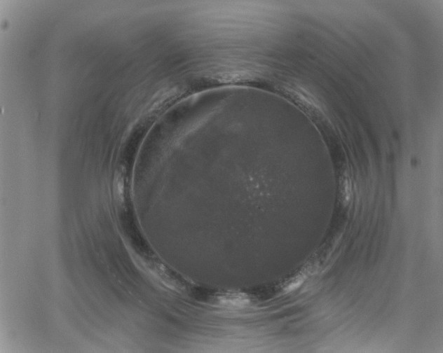 X0000058830214200510031355