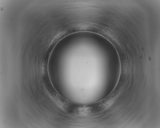 X0000058830216200510031355