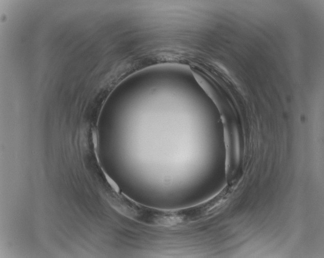 X0000058830217200510031355