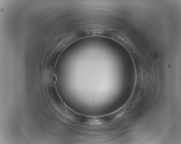 X0000058830218200510031355