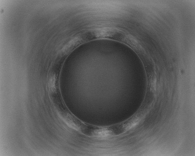 X0000058830219200510031355