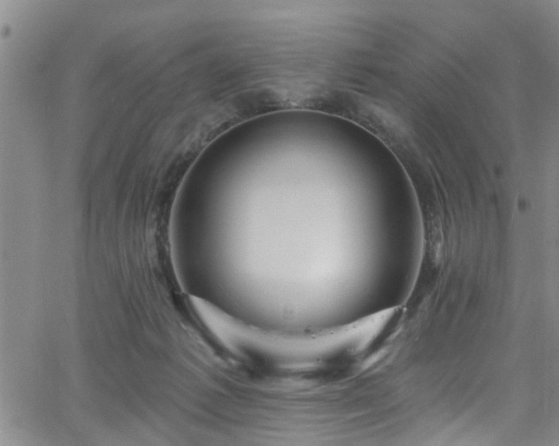 X0000058830221200510031355