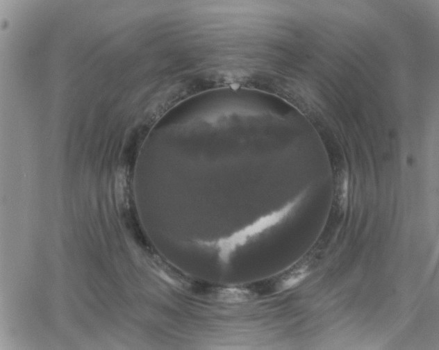 X0000058830222200510031355