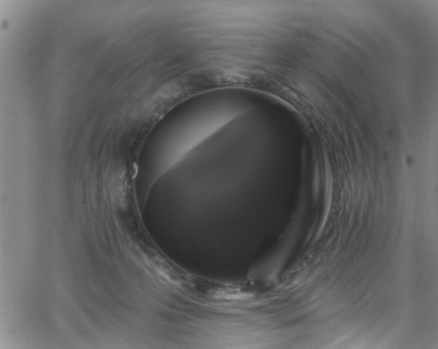 X0000058830223200510031355