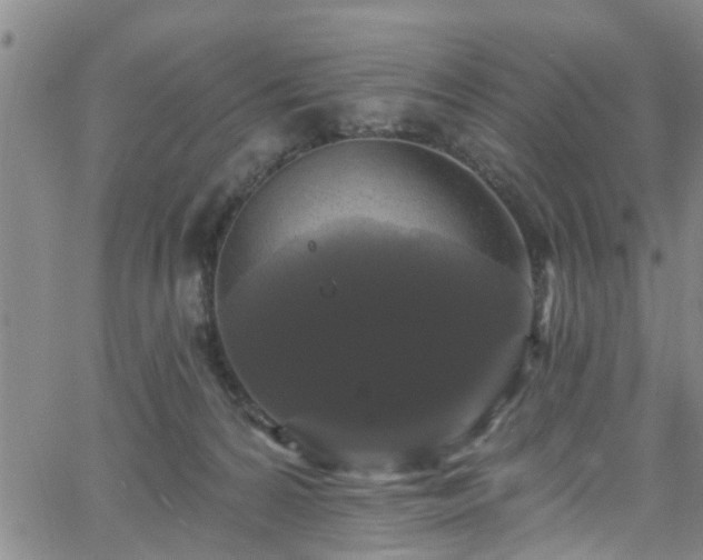 X0000058830224200510031355