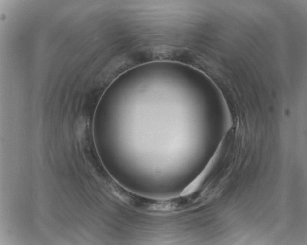 X0000058830225200510031355