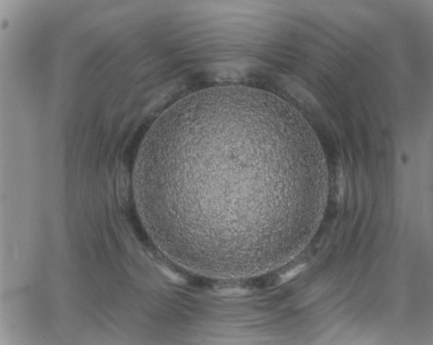 X0000058830228200510031355