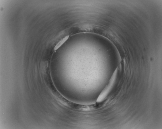 X0000058830229200510031355