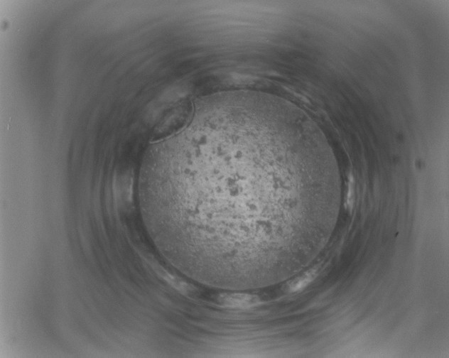 X0000058830230200510031355