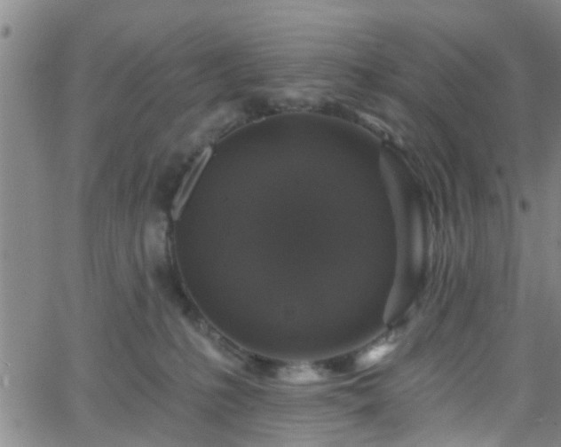 X0000058830231200510031355