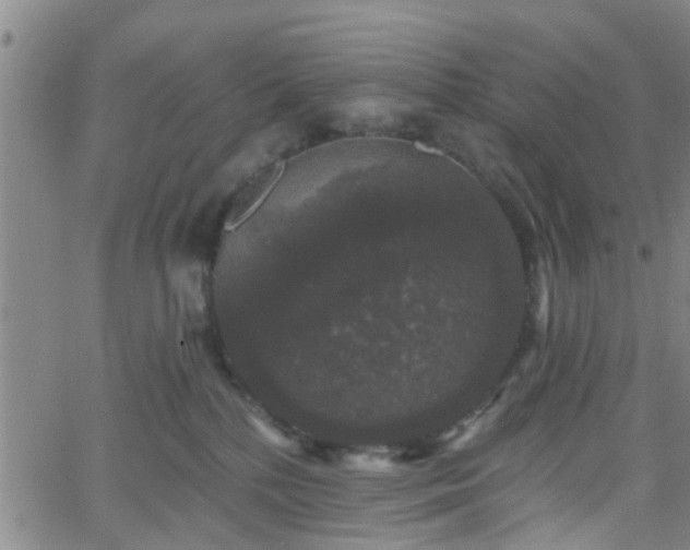 X0000058830232200510031355