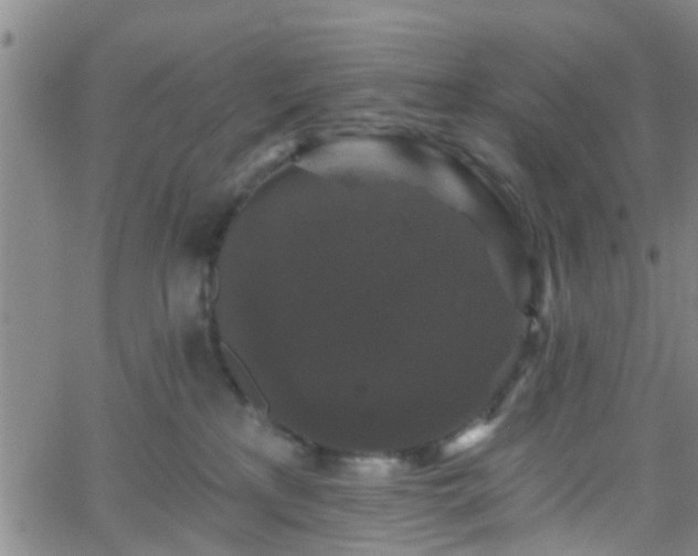 X0000058830233200510031355