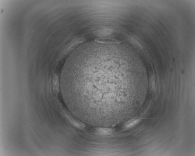 X0000058830234200510031355