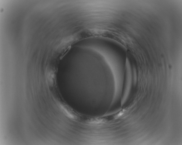 X0000058830235200510031355