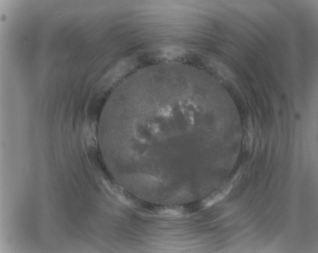 X0000058830236200510031355