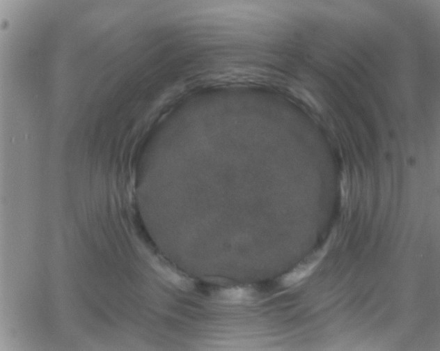 X0000058830237200510031355