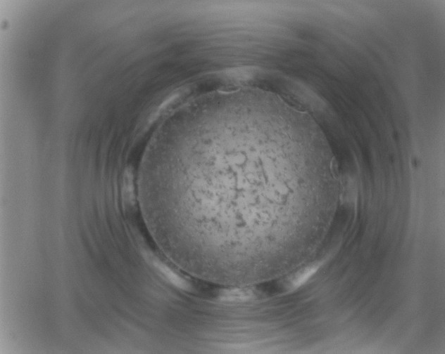 X0000058830238200510031355