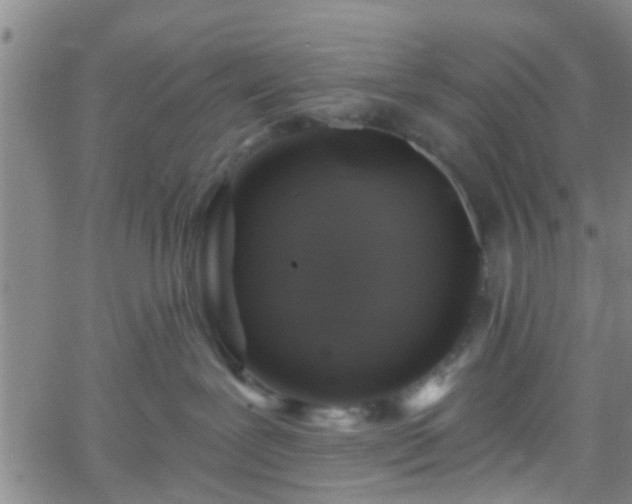 X0000058830239200510031355