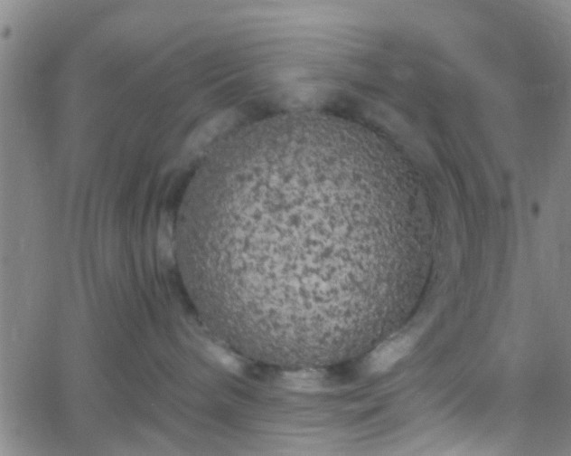 X0000058830240200510031355