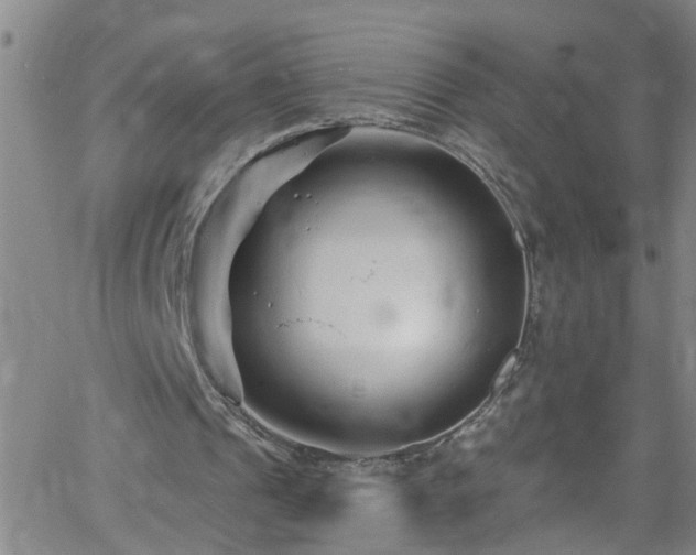 X0000058830241200510031354