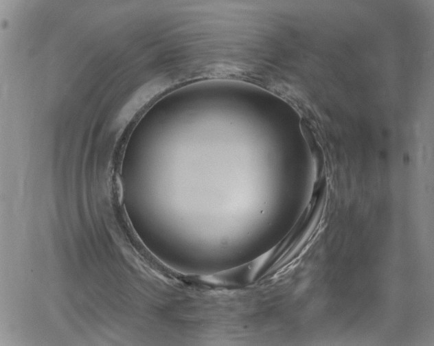 X0000058830242200510031354