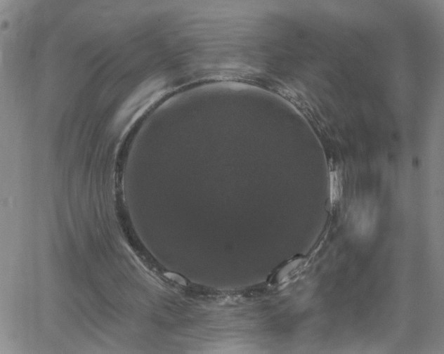 X0000058830243200510031354