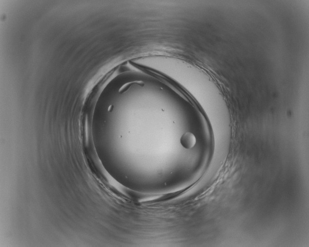 X0000058830244200510031354