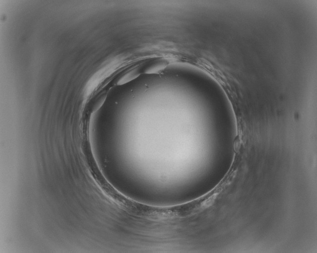 X0000058830245200510031354