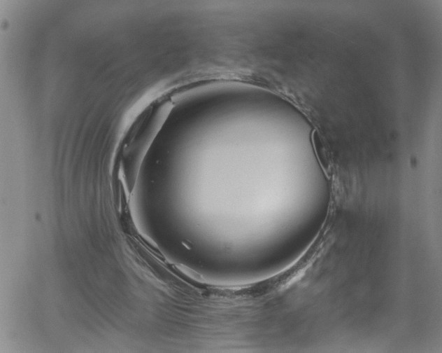 X0000058830246200510031354