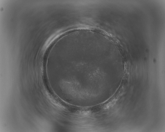 X0000058830247200510031354