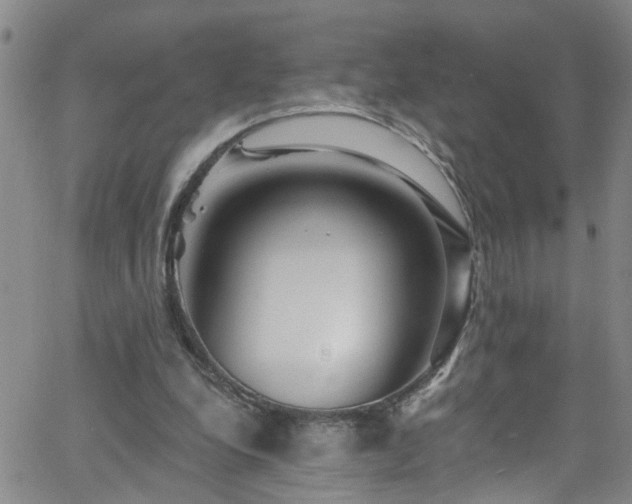 X0000058830248200510031354