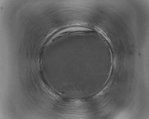 X0000058830249200510031354