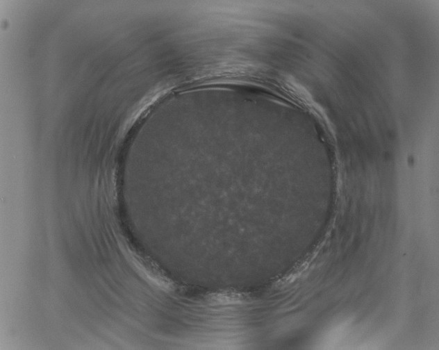 X0000058830250200510031354