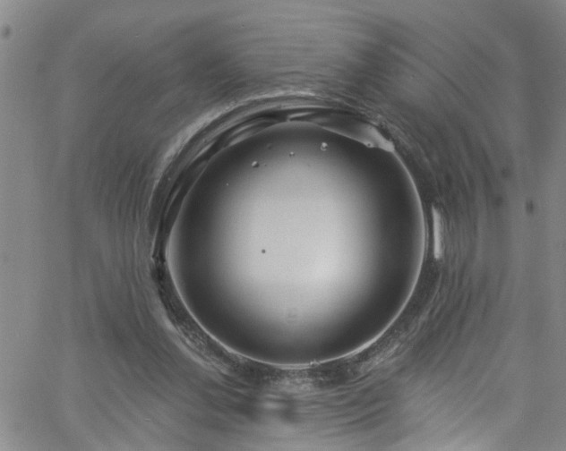 X0000058830252200510031354