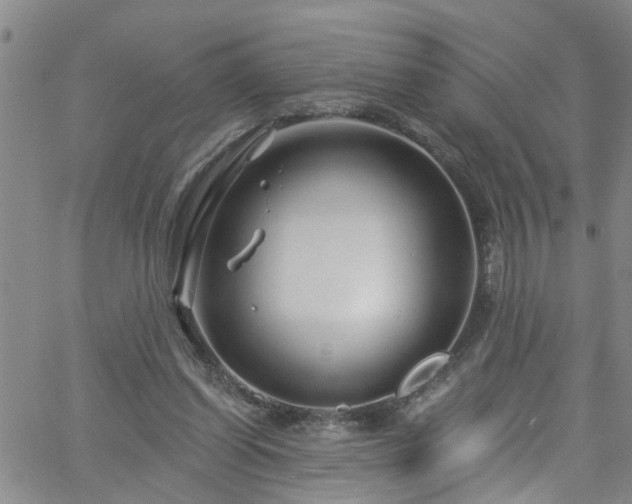 X0000058830254200510031354